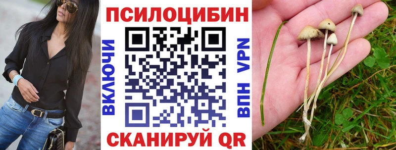 Галлюциногенные грибы Cubensis  Купить  Красноуральск 